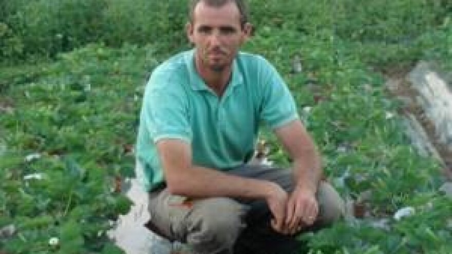 Slatko carstvo u Gackoj dolini