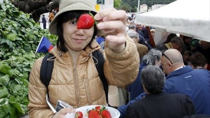 Vrgoračke jagode na makarskoj rivi