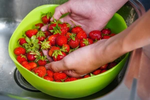 Mogu li se pesticidi s voća i povrća ukloniti ocatom?