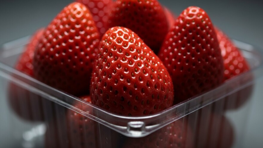 Jagode u SAD najzagađenije pesticidima