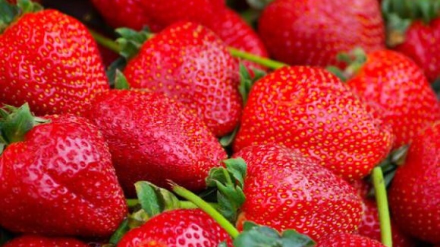 Ljekovitost bobičastog voća