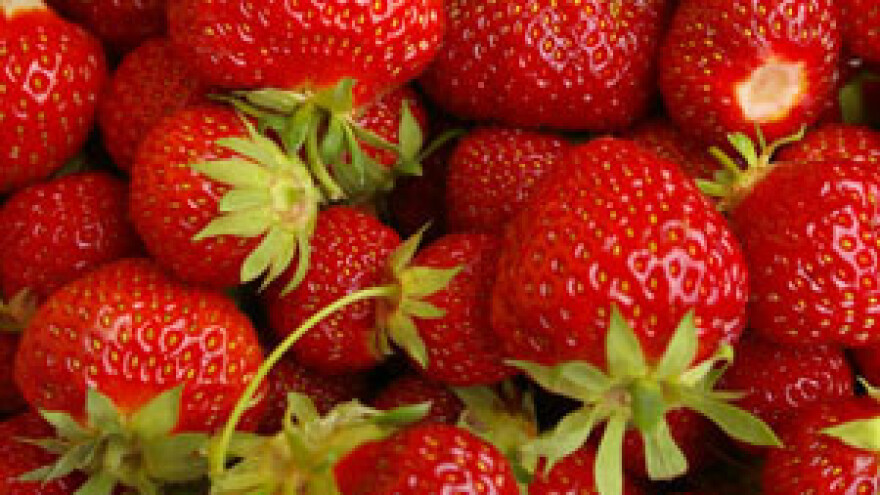 Dani jagoda u Zagrebu