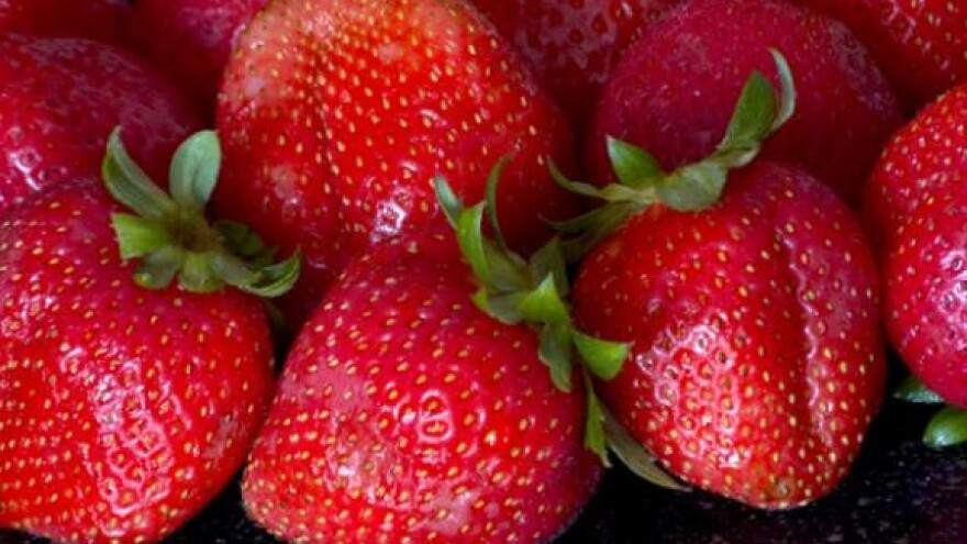 Dani zagrebačkih jagoda 2009.