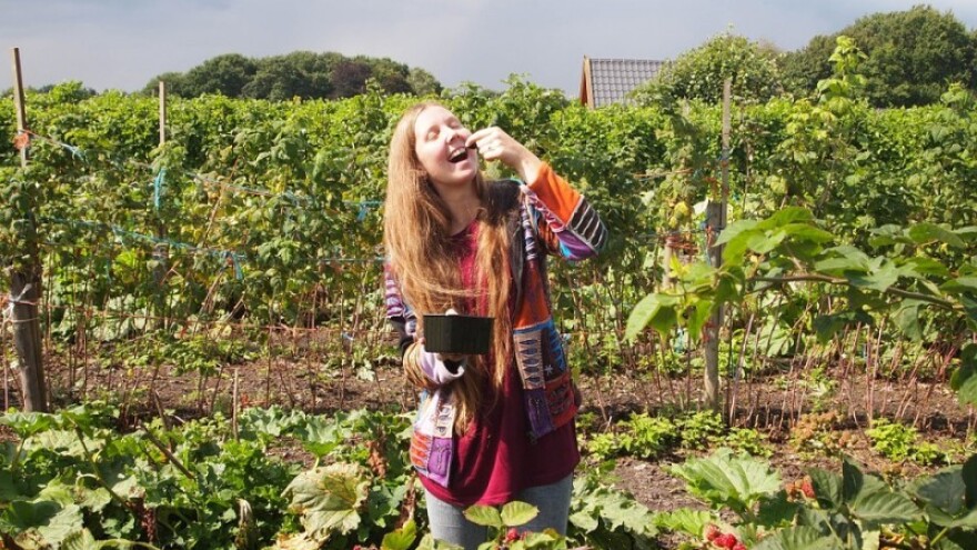 Ujedinili se eko proizvođači Dalmacije!