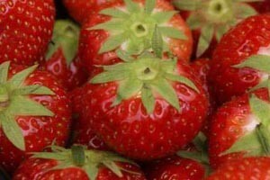 Jagode iz Vrgorca će ipak skoro biti na našim tržnicama