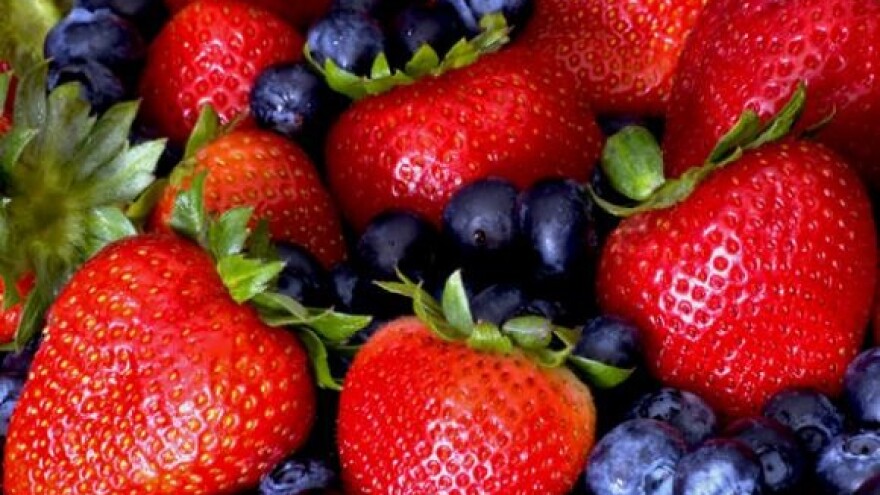 Proljetna zaštita jagodastog voća