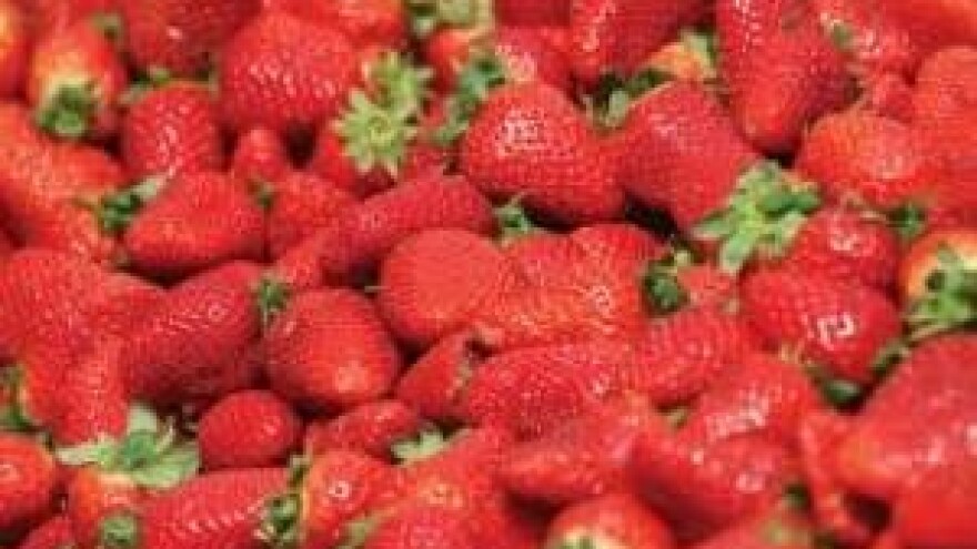 Hrvatske jagode po EU normama