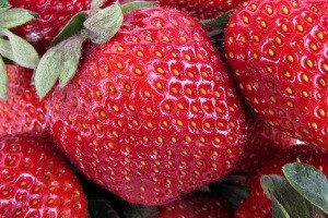 Britanski farmeri žele da im Hrvati dođu brati voće i povrće