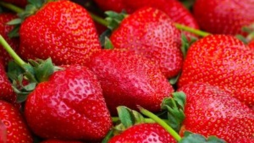 Festival jagoda u Prelogu