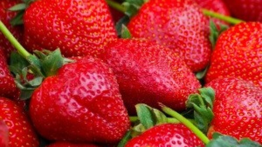 Započeli Dani jagoda križevačkog kraja