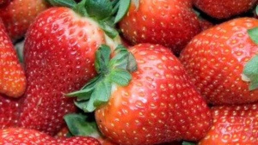 Zaštitite jagode od gljivičnih oboljenja