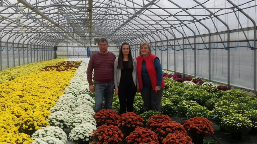 Poljoprivredi odlučili dati drugu šansu i okrenuli se - cvijeću!