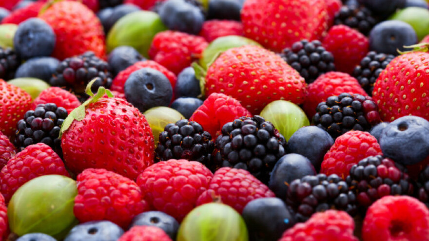 Indija zainteresovana za voće iz Srbije