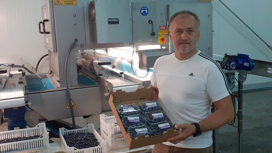 Stroj za sortiranje bobičastog voća rješava potrebe hrvatske proizvodnje