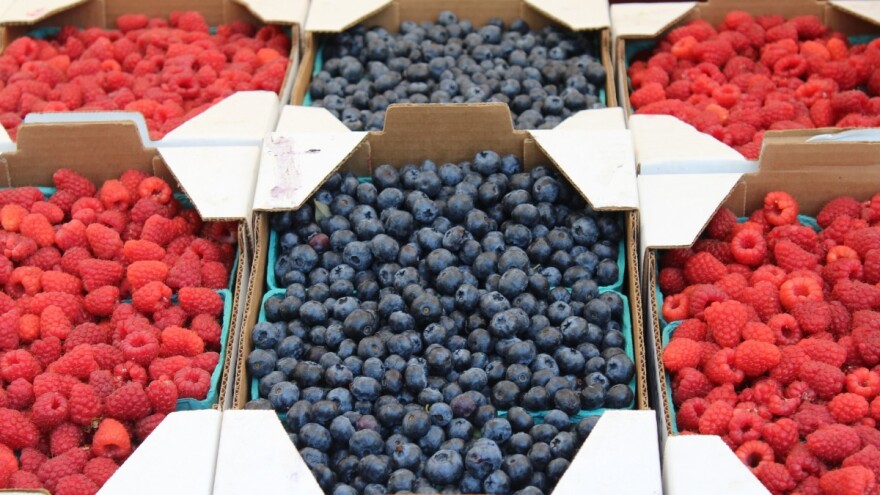Hladnjača u Begovom Hanu potpuno zadovoljava potrebe farmera i berača sa područja ZDK i šire