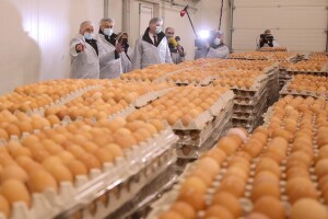 Marijan Lukač: Kako to da se nitko nije požalio na salmonelu? Očito nekome smetam