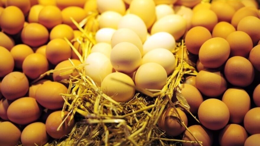 Kavezi nesilica, ali i uvoz jaja veći