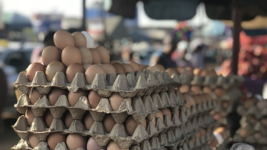 Proizvodnja jaja u svijetu: Kina najveći proizvođač, a Nizozemci ih najviše izvoze