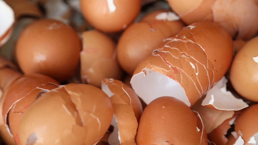 Pripremite čaj od ljuski jaja koji odlično djeluje na biljke