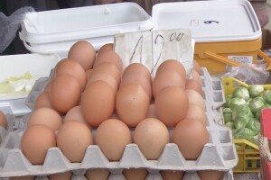 Povećani troškovi proizvodnje piletine i konzumnih jaja?