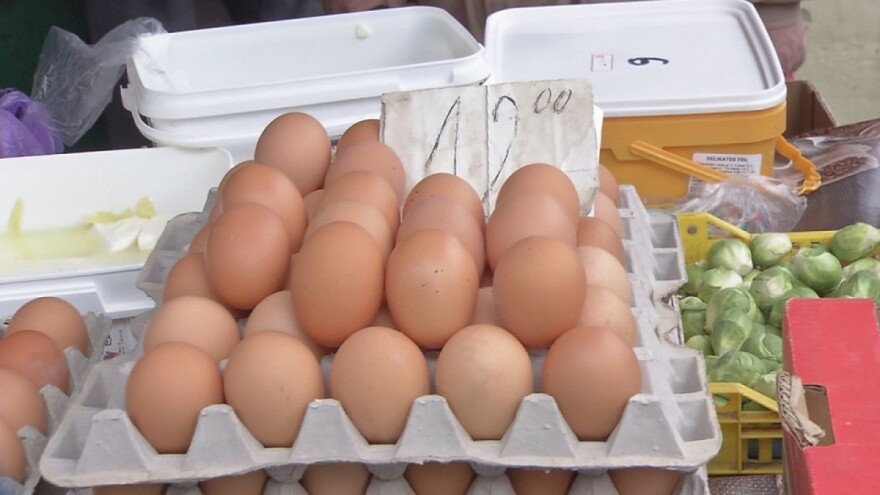 Povećani troškovi proizvodnje piletine i konzumnih jaja?