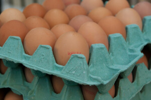 Nakon fipronila i amitrac na peradarskim farmama