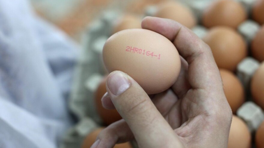 Transparentnost. Još jedan veliki razlog zašto kupovati jaja hrvatskih farmi!