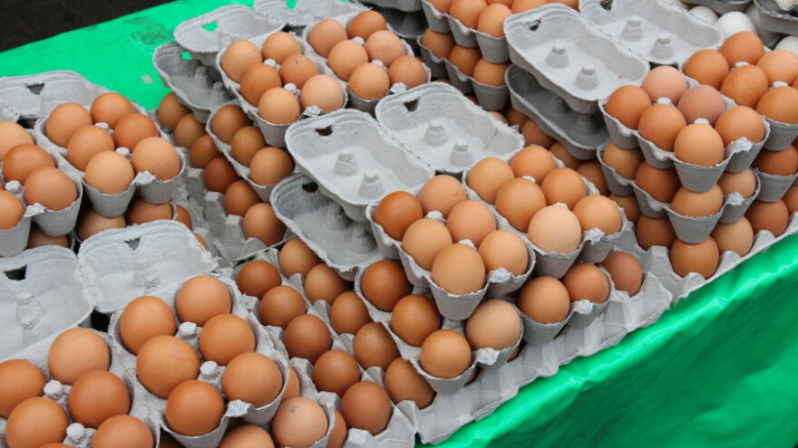 Vršit će se pojačane kontrole kod uvoza jaja