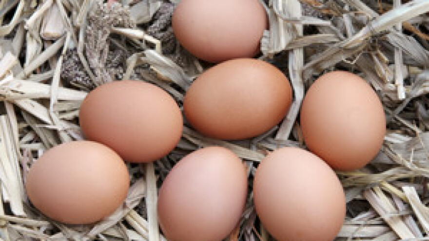 Putem EU fondova proširiti i modernizirati proizvodnju