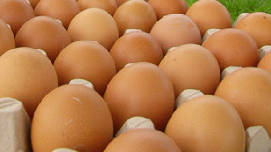 Peradari pred propašću