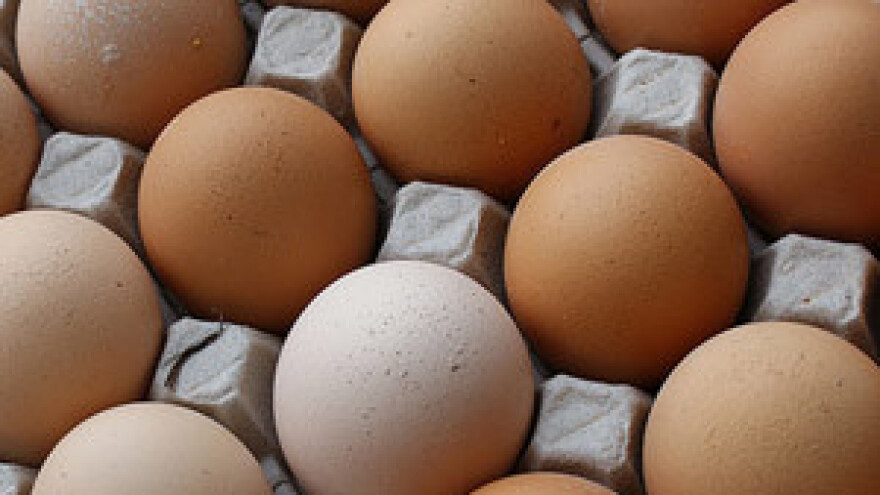 Jaja s halal certifikatom iz Zagorja se izvoze u Iran!