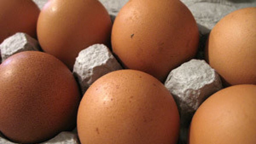 Alarmantan nedostatak jaja