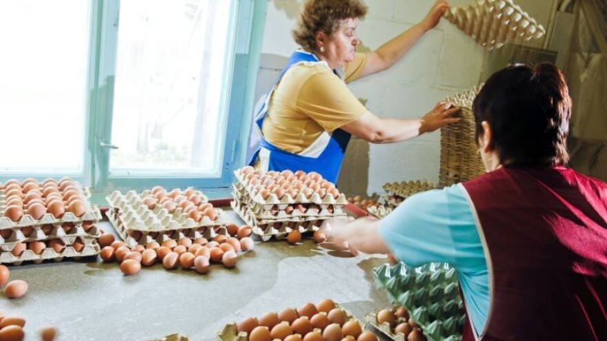 Ugovori o korištenju znaka "Jaja hrvatskih farmi"