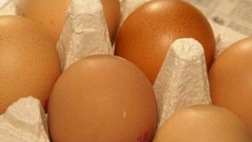 Dioksin u jajima s njemačke farme