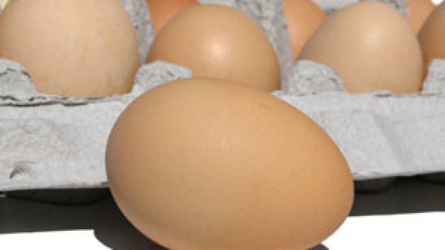 Zbog suše drastično poskupila jaja