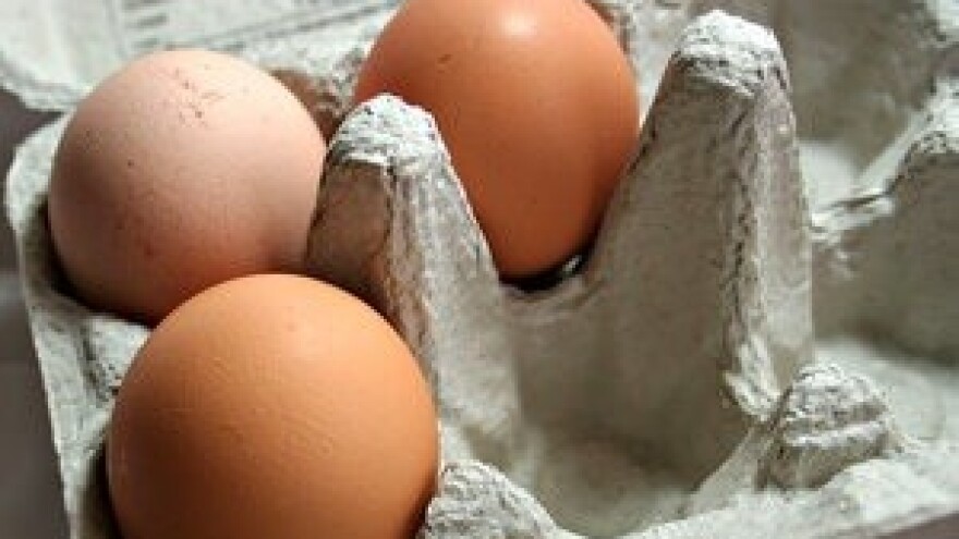 Jaja ćemo uvoziti iz Europe?