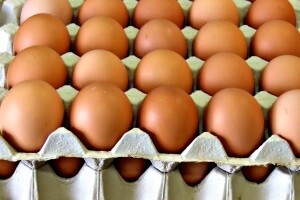 Njemačka istražuje prijevaru oko organskih jaja