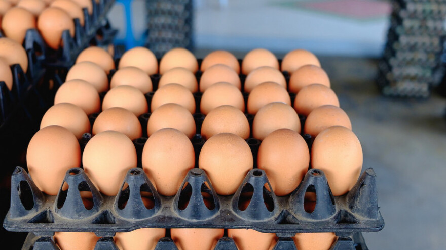 Nedozvoljeni preparat za nesilice rizik za javnost