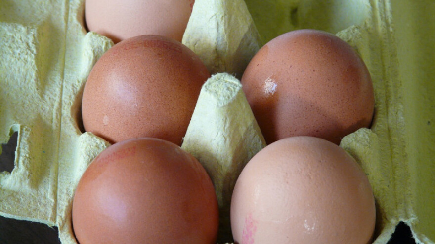 Zbog salmonele, povučena jaja s polica