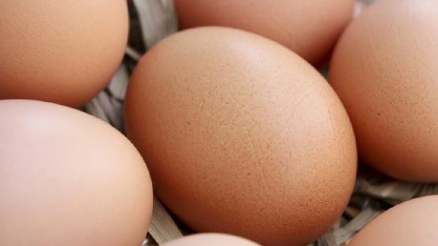 Poništenje javnog natječaja