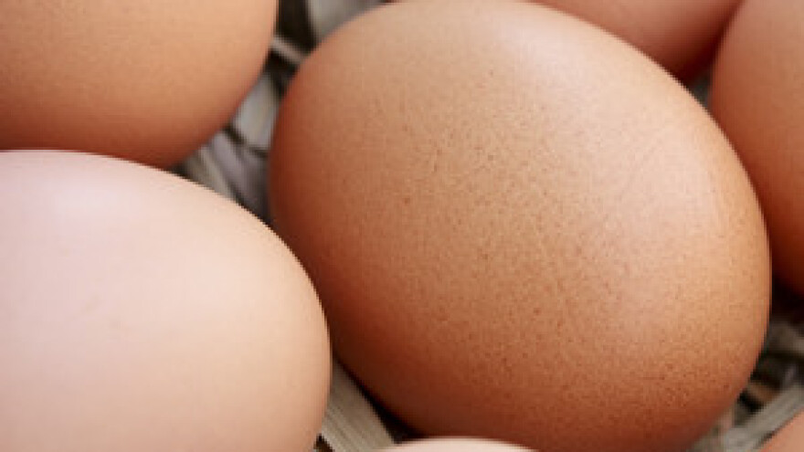 U Hrvatskoj nema kontrole dioksina u namirnicama