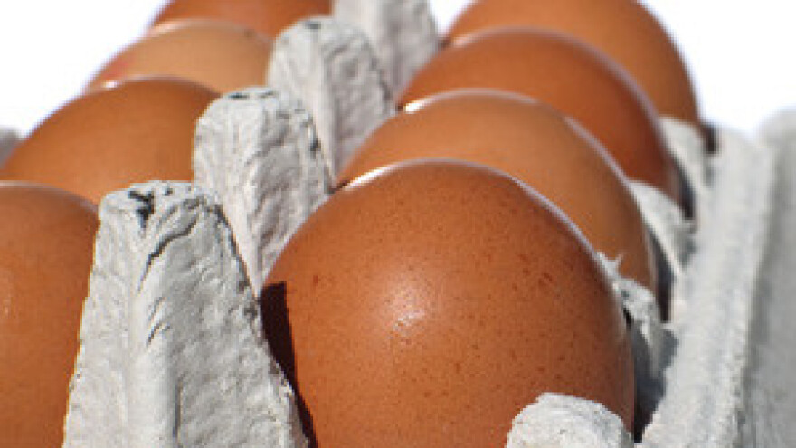 Jaja s dioksinom u Velikoj Britaniji