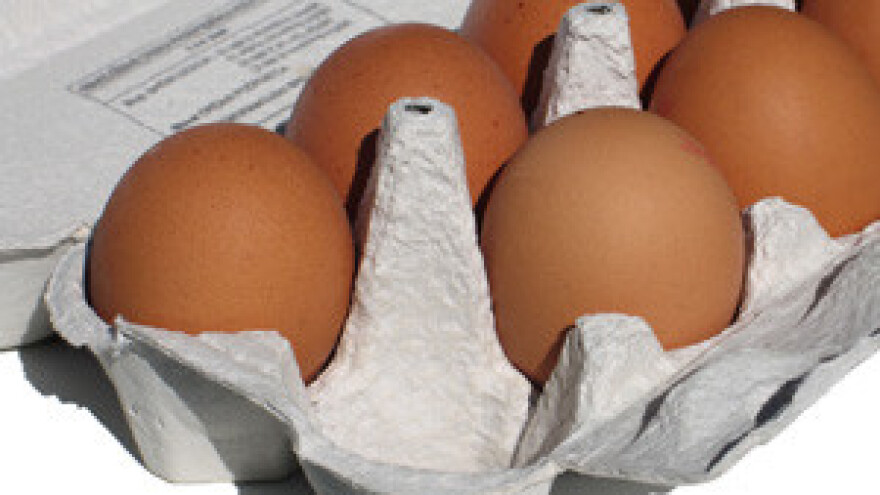 Dioksin uznemirio svijet