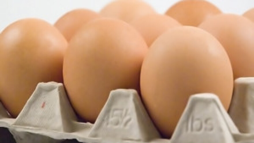 Kina zabranila uvoz jaja i peradi