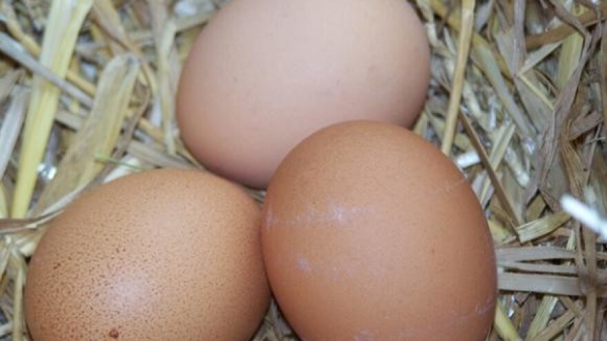 Za Uskrs dovoljno jaja iz domaće proizvodnje