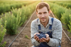 Jako puno dobre volje, upornost i motika!