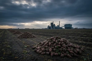 Jakovina oštetio Viro i Sladoranu?