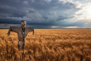 Jakovina preživio brazilsku sambu