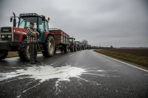 Jakovina: Prosvjed mljekara je dobrim dijelom politički motiviran