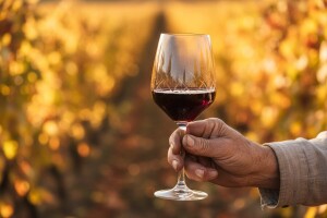 Jakovina se u Bruxellesu sastao s Hoganom